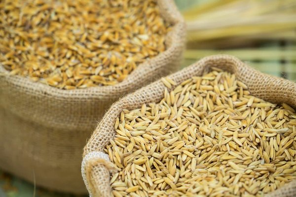 Quels styles de sacs à main sont les plus pratiques et élégants pour un voyage d'affaires?