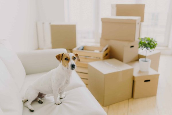 Comment choisir des chaussures à talons confortables pour un événement toute la journée ?